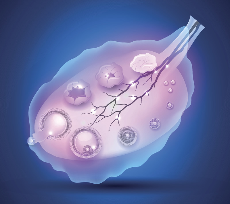 2026年广州做试管婴儿比较好的医院？试管详细攻略